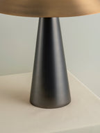 Orta - 1 light antique silver and burnished brass cone table lamp